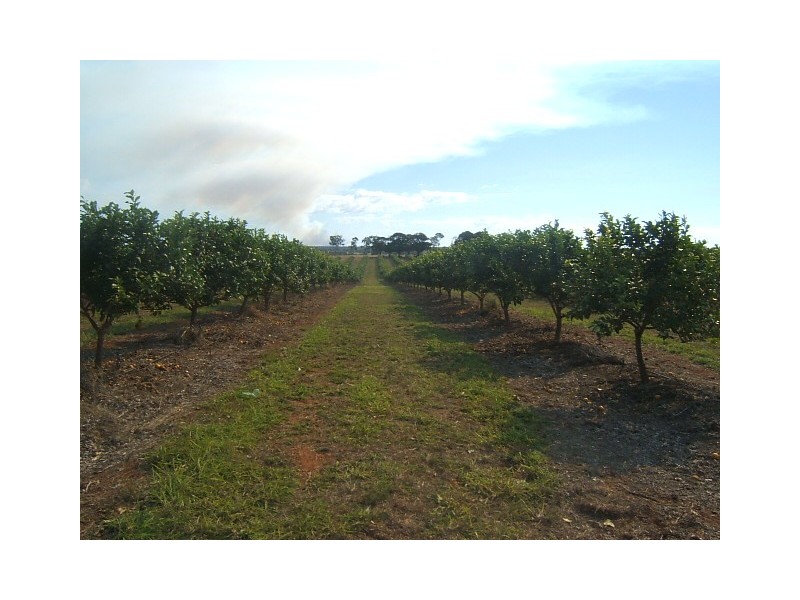 Scotneys Road, Moorland, Bundaberg QLD 4670