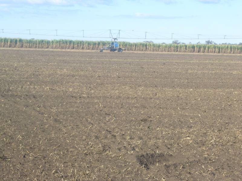 Mccarthy’s Road, North Gregory QLD 4660