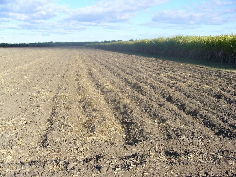 Mccarthy’s Road, North Gregory QLD 4660