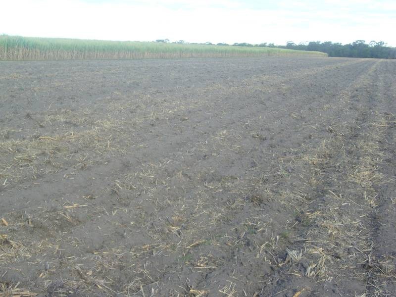 Mccarthy’s Road, North Gregory QLD 4660