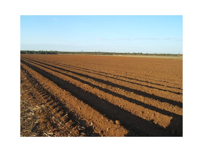 Tetzlaffs & Dilgers Roads, North Isis QLD 4660