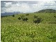 Woowoonga QLD 4621