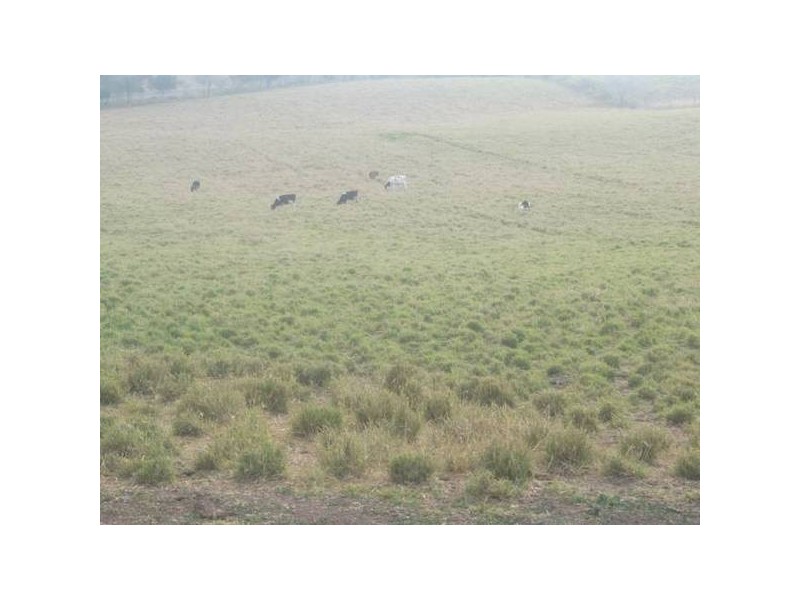 Woowoonga QLD 4621