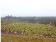 South Isis QLD 4660