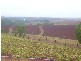 South Isis QLD 4660