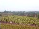 South Isis QLD 4660