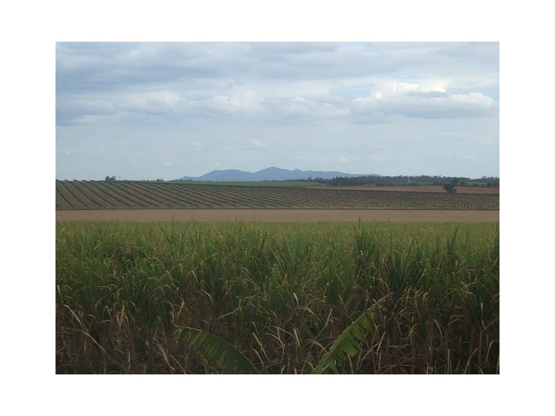 4192 Childers Road, Cordalba QLD 4660