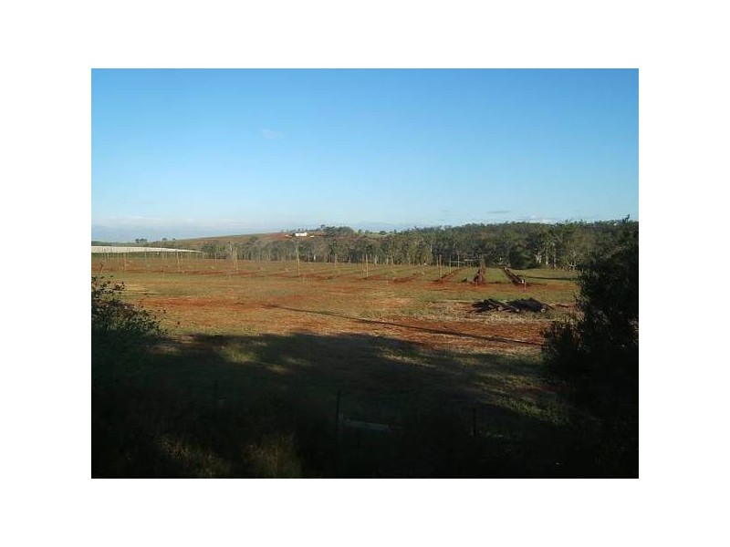 195 Butchers Road, South Isis QLD 4660