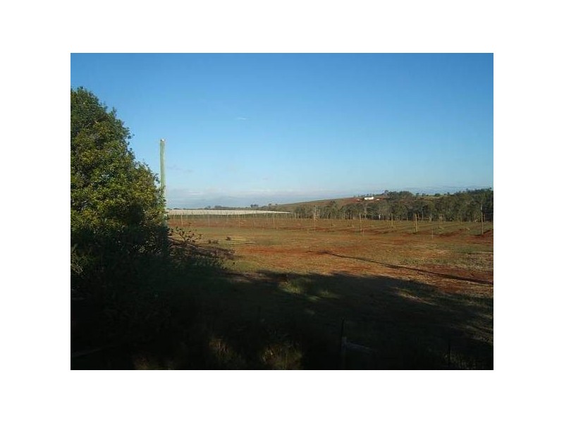 195 Butchers Road, South Isis QLD 4660
