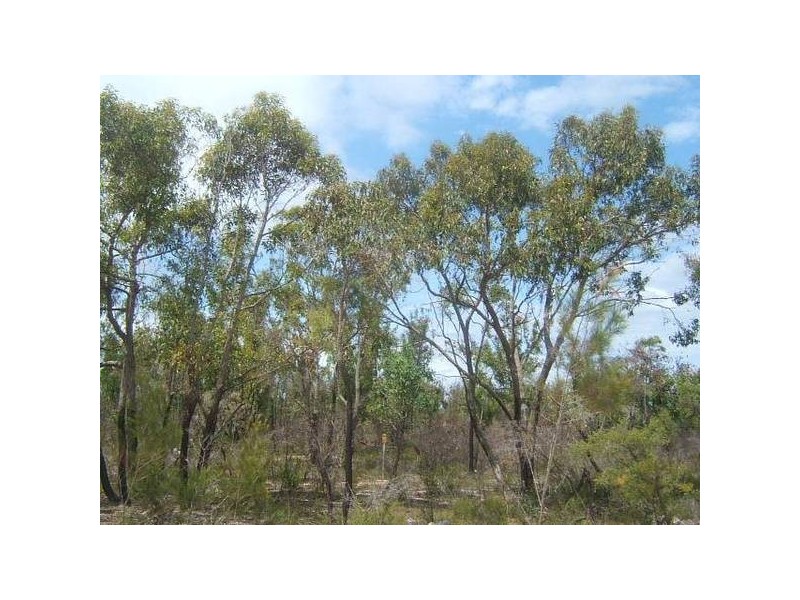 Buxton QLD 4660