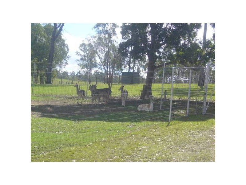 Apple Tree Creek QLD 4660