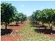 North Isis QLD 4660