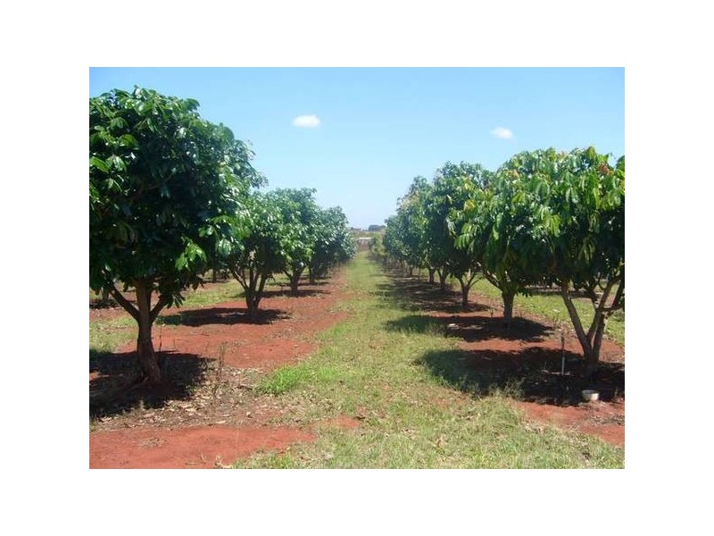 North Isis QLD 4660