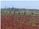 North Isis QLD 4660