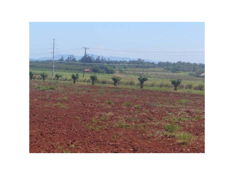 North Isis QLD 4660