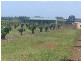 North Isis QLD 4660