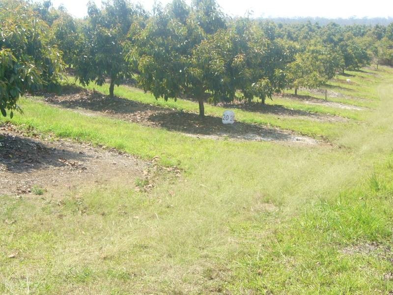 497 Knockroe Road, North Isis, Childers QLD 4660