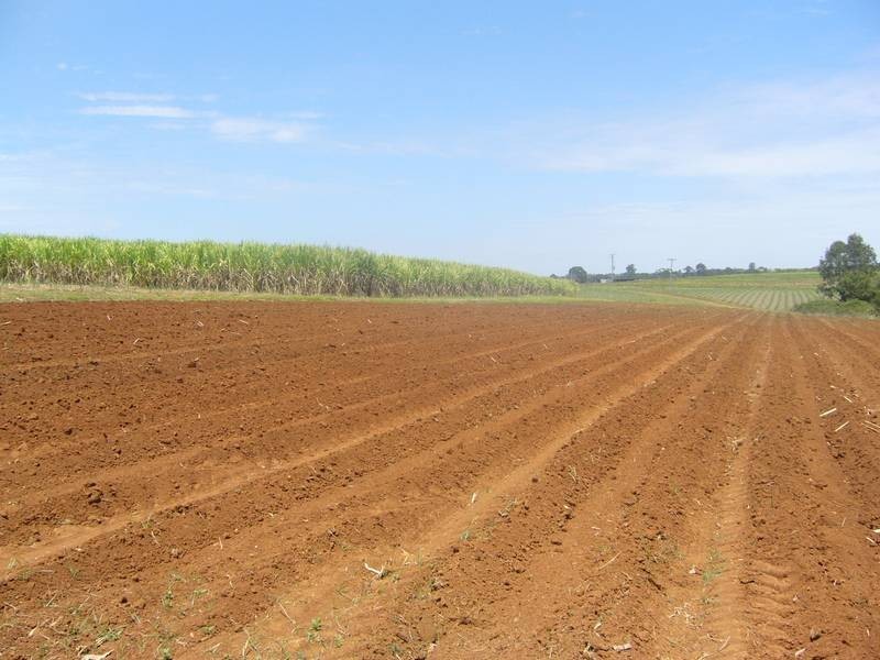 497 Knockroe Road, North Isis, Childers QLD 4660