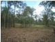 Apple Tree Creek QLD 4660