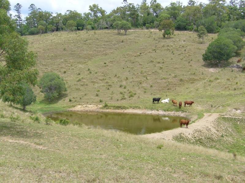 Good Night QLD 4671