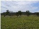 Ban Ban QLD 4625