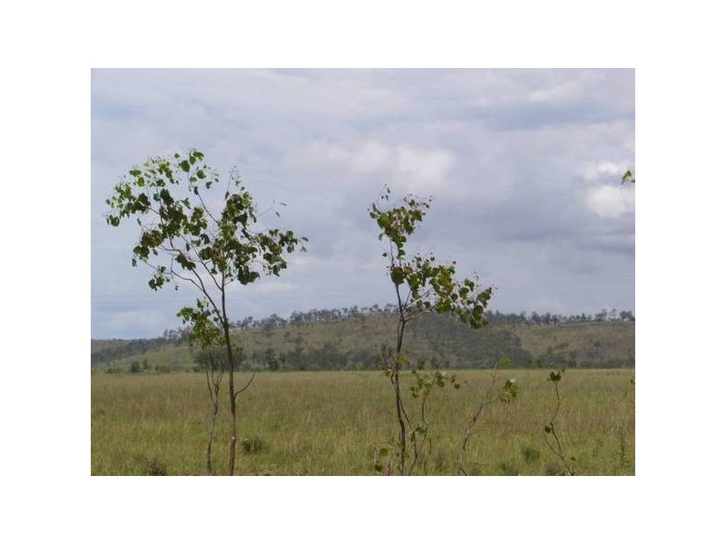 Ban Ban QLD 4625