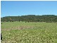 Ban Ban QLD 4625