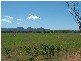 Ban Ban QLD 4625