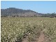 Ban Ban QLD 4625