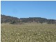 Ban Ban QLD 4625