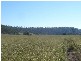 Ban Ban QLD 4625