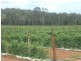 L22 North Isis Road, North Isis, Childers QLD 4660