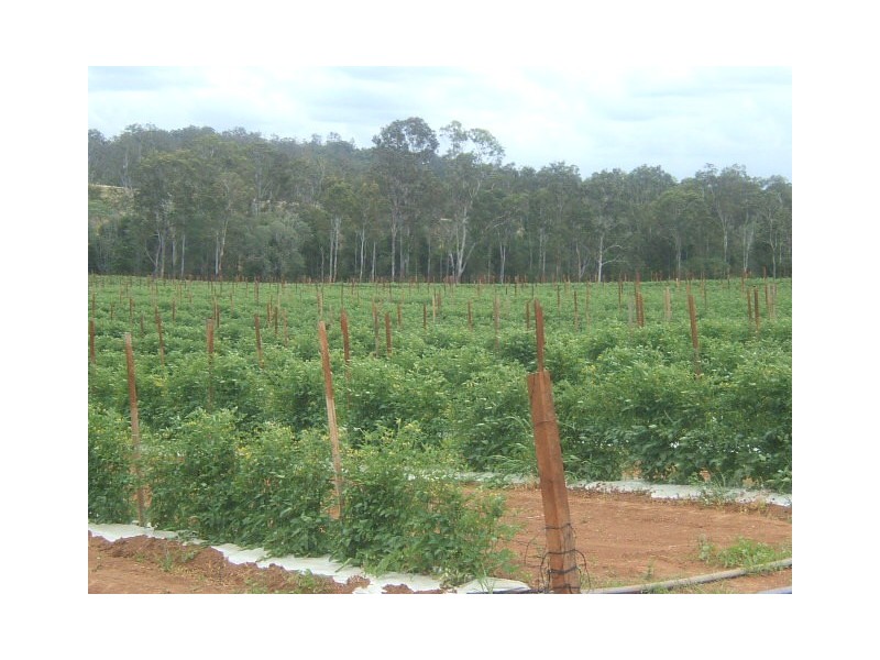 L22 North Isis Road, North Isis, Childers QLD 4660