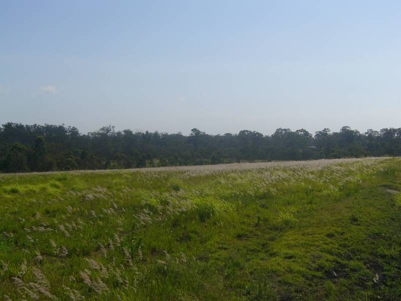 Lot 12, 40 Olivers Road, Goodwood QLD 4660