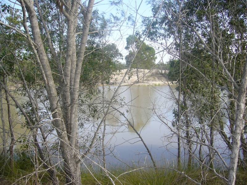 Lot 12, 40 Olivers Road, Goodwood QLD 4660