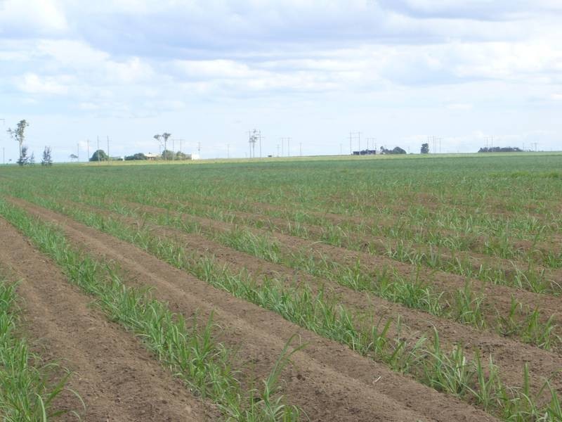 Bouchardts Road, Farnsfield QLD 4660