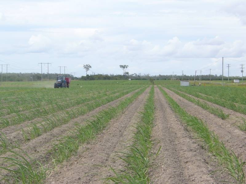 Bouchardts Road, Farnsfield QLD 4660