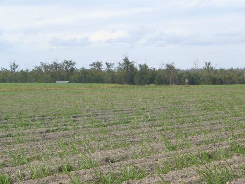 Bouchardts Road, Farnsfield QLD 4660