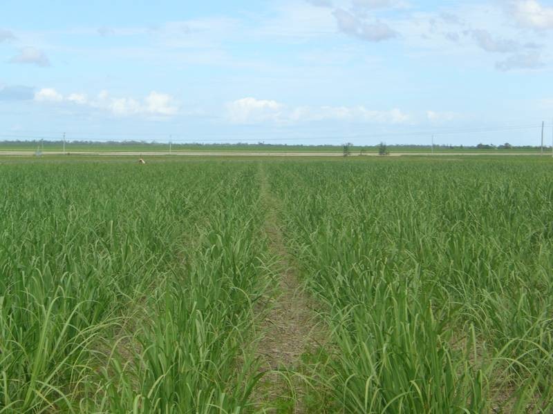 Bouchardts Road, Farnsfield QLD 4660