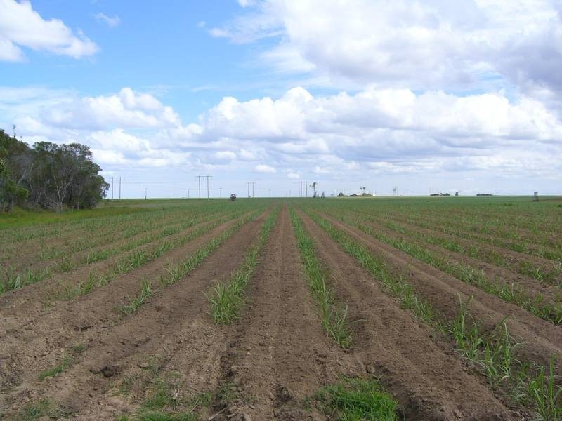 Bouchardts Road, Farnsfield QLD 4660