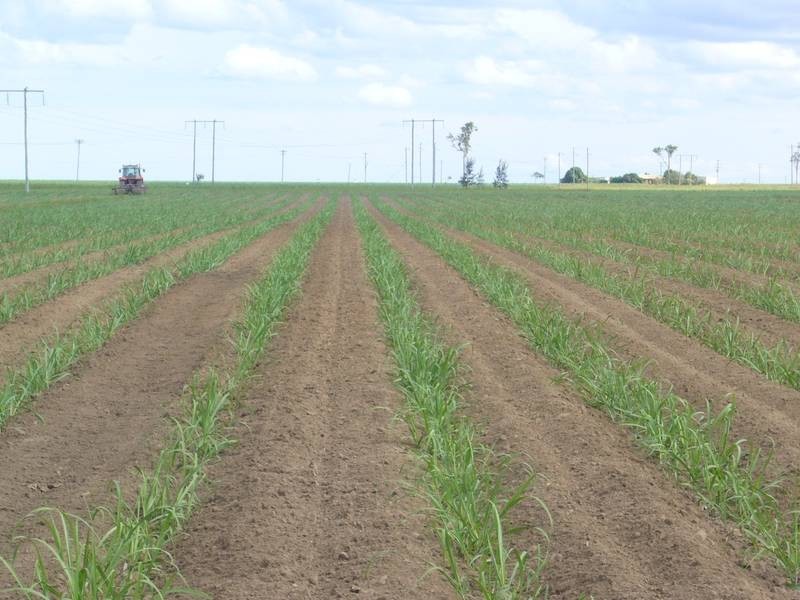 Bouchardts Road, Farnsfield QLD 4660