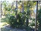 Buxton QLD 4660