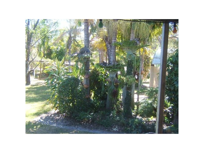 Buxton QLD 4660