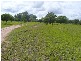 Redridge QLD 4660