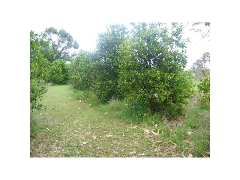 Redridge QLD 4660