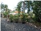 Buxton QLD 4660