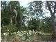 Buxton QLD 4660