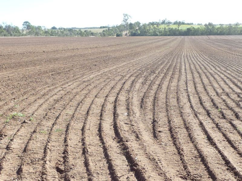 Greens & Jacksons Road, South Isis, Childers QLD 4660