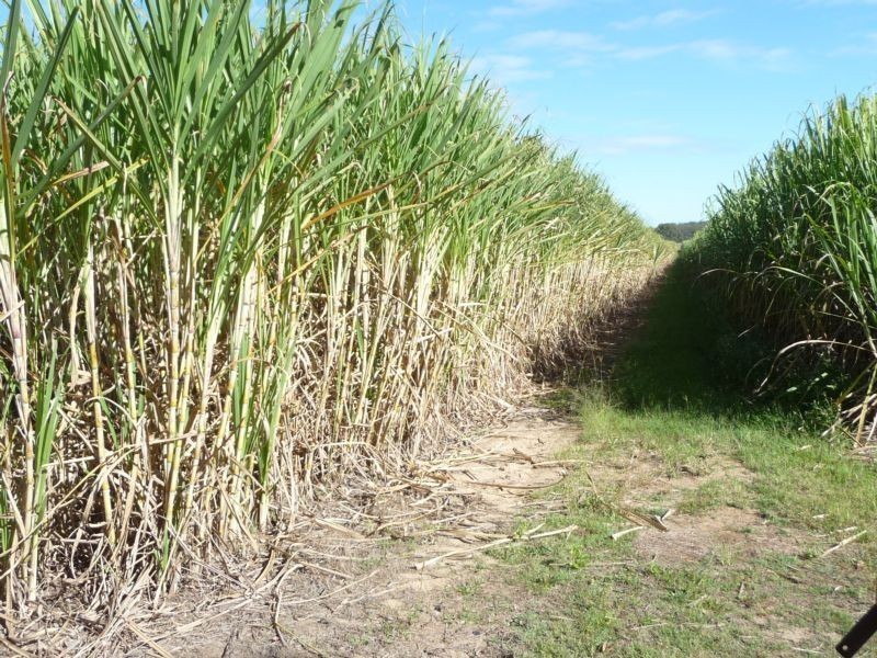 Greens & Jacksons Road, South Isis, Childers QLD 4660
