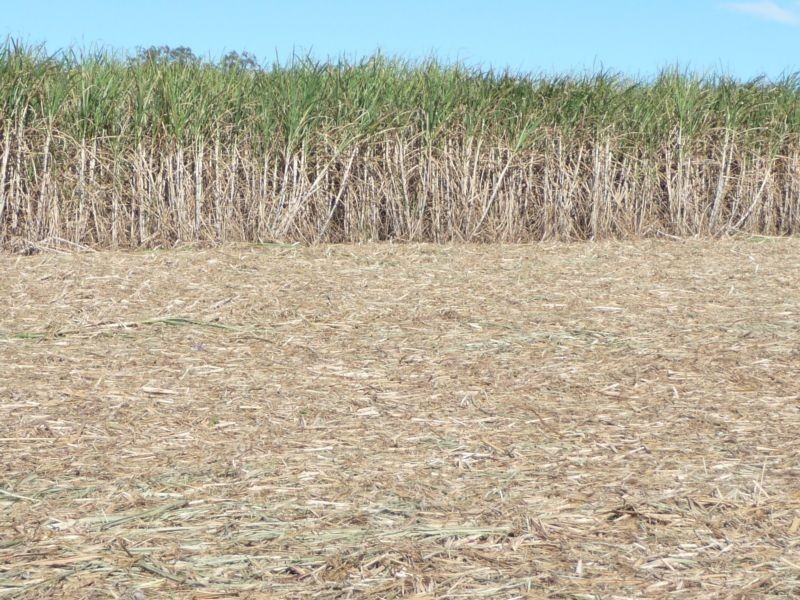 Greens & Jacksons Road, South Isis, Childers QLD 4660